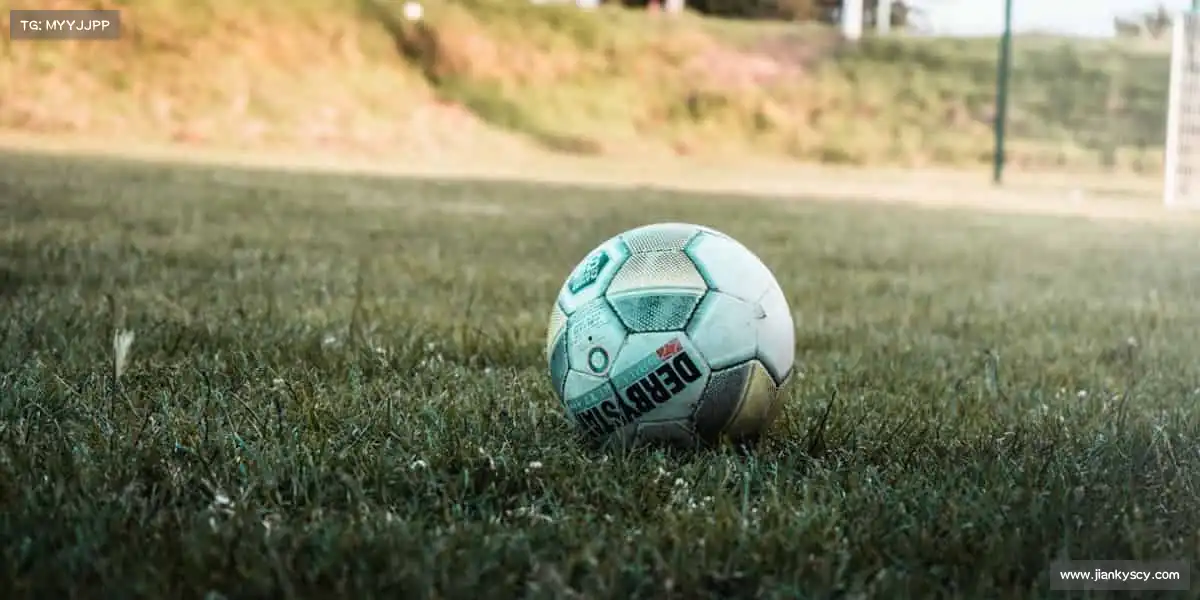 我们的品牌价值